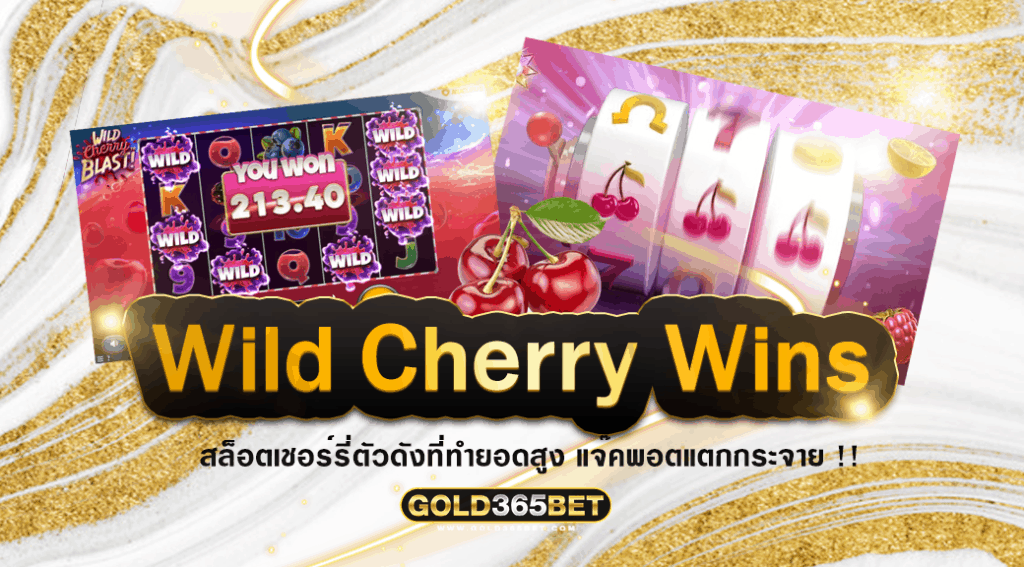 Wild Cherry Wins