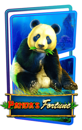 Fortune Panda สล็อตแตกบ่อย